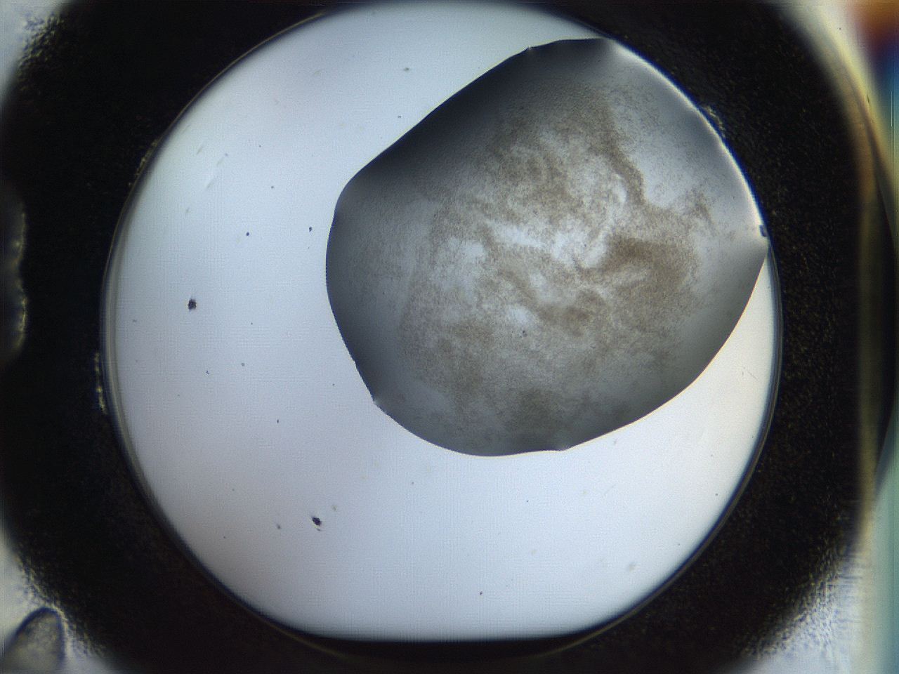 056m_B11_ImagerDefaults_3.jpg