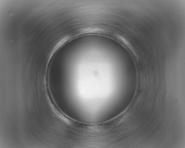 X0000054331330200508111909.png