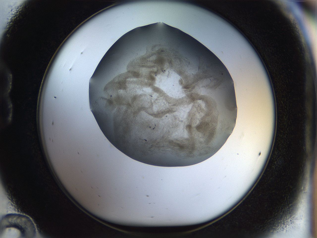 056m_B12_ImagerDefaults_3.jpg