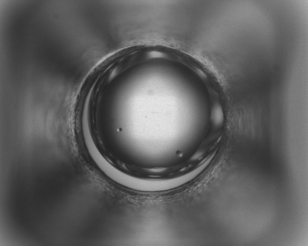 X0000045451020200502011651.png