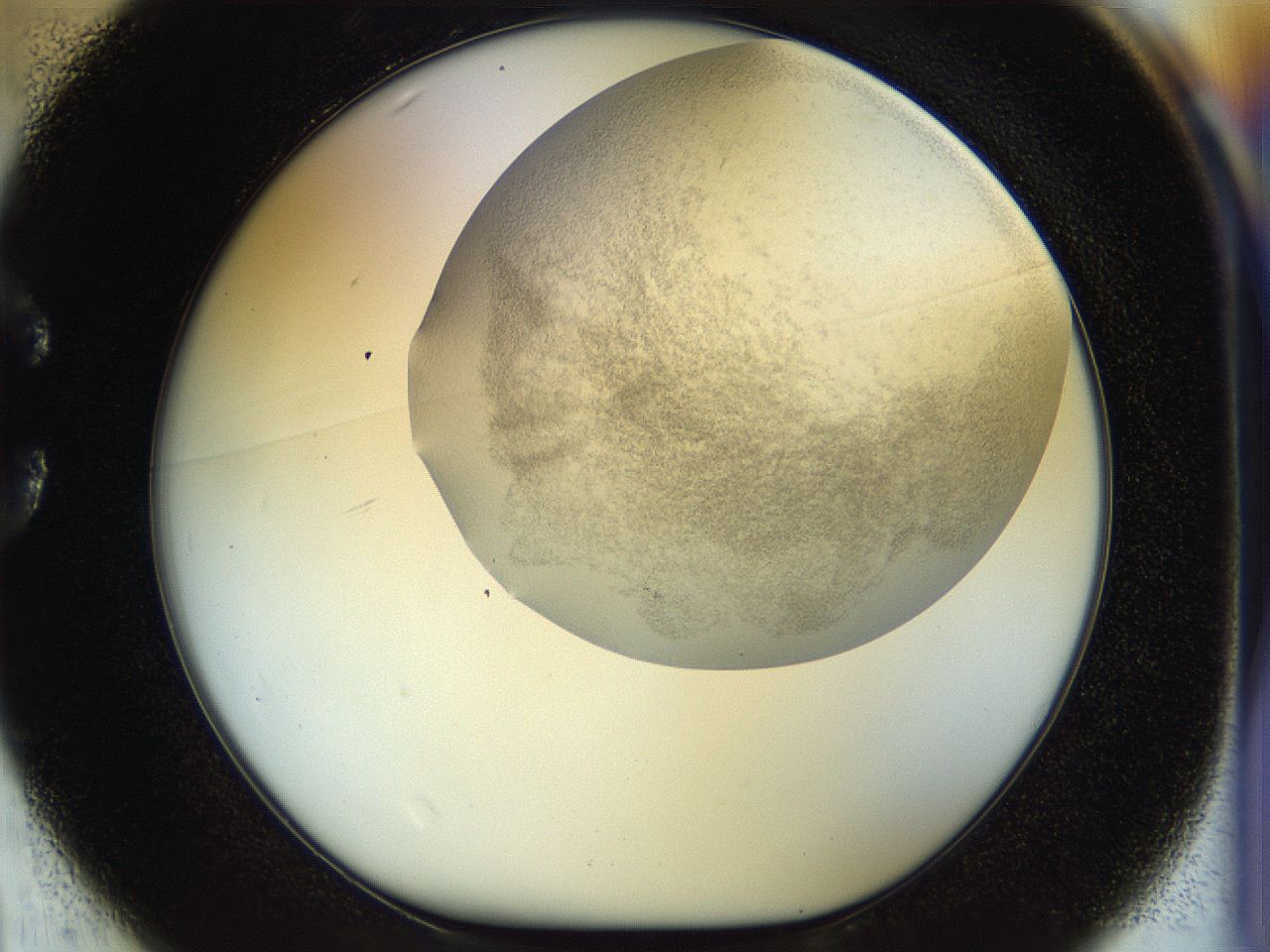 056m_C1_ImagerDefaults_3.jpg