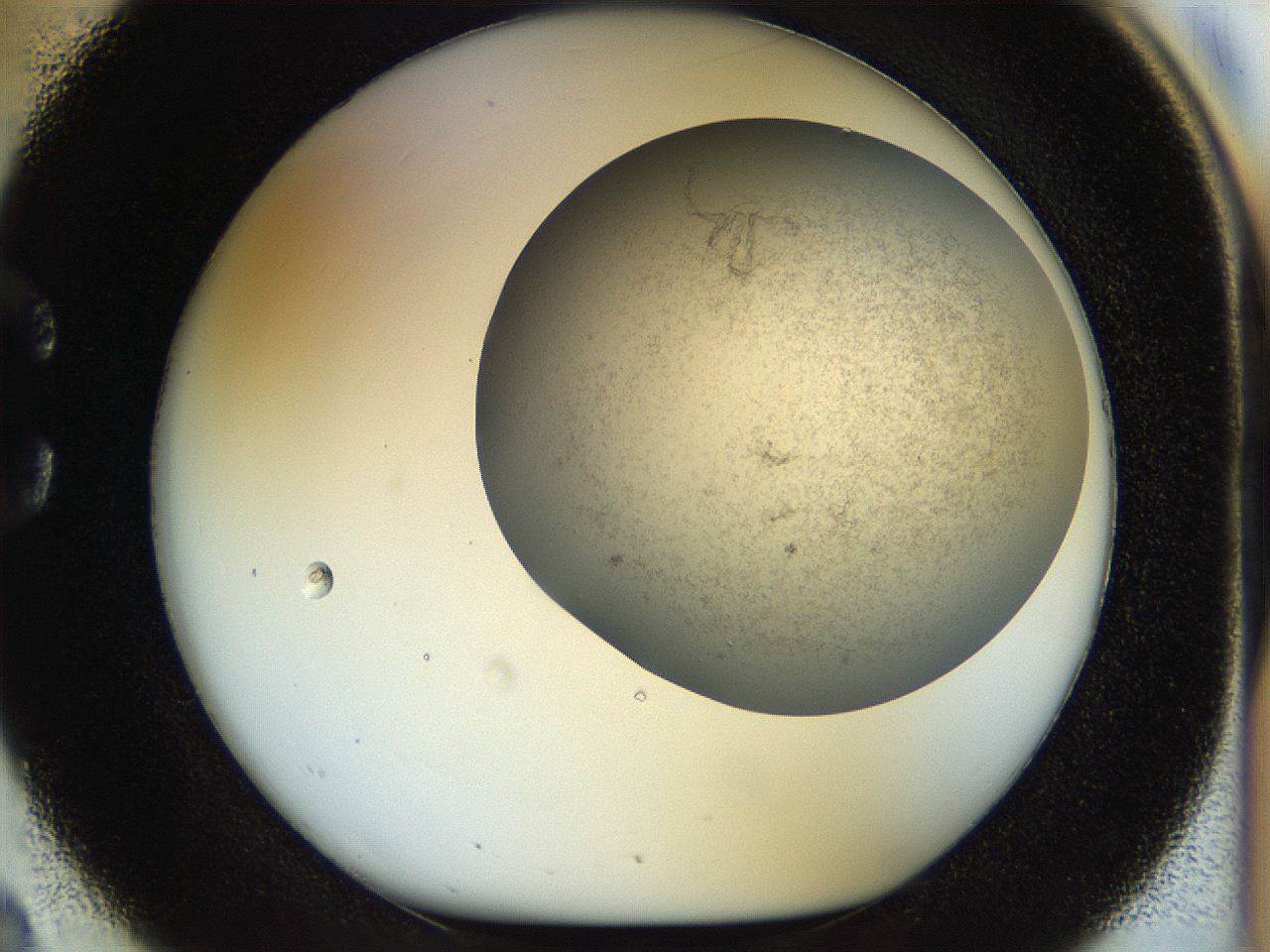 056m_C2_ImagerDefaults_2.jpg