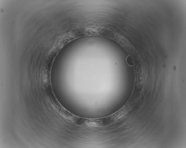 X0000054650706200508091642.png