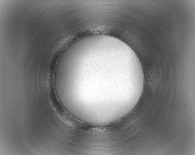 X0000054330690200508111919.png