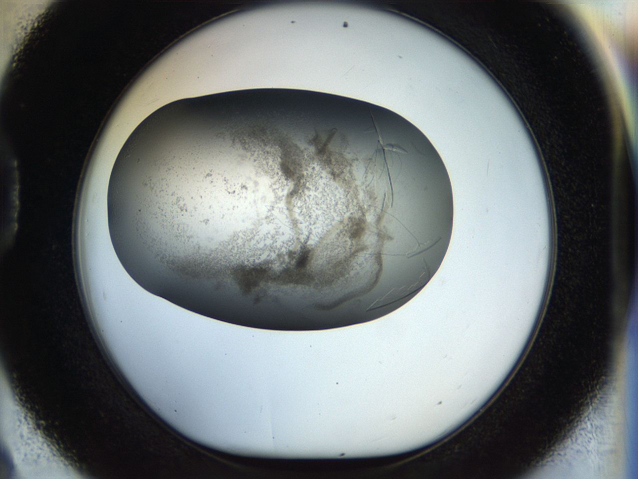 056m_D9_ImagerDefaults_8.jpg