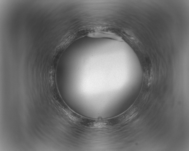 X0000055060462200508161650.png
