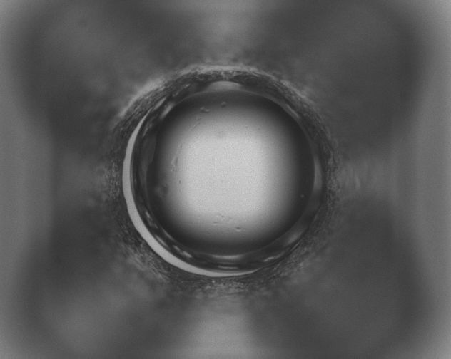 X0000040561351200411021417.png