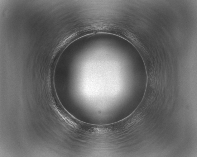 X0000055060442200508161650.png