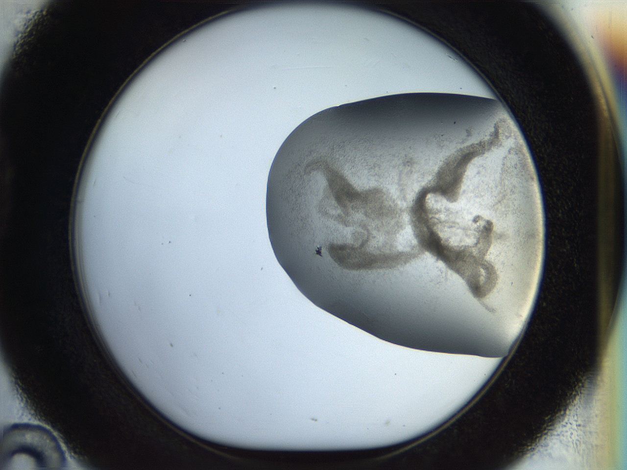056m_D10_ImagerDefaults_3.jpg