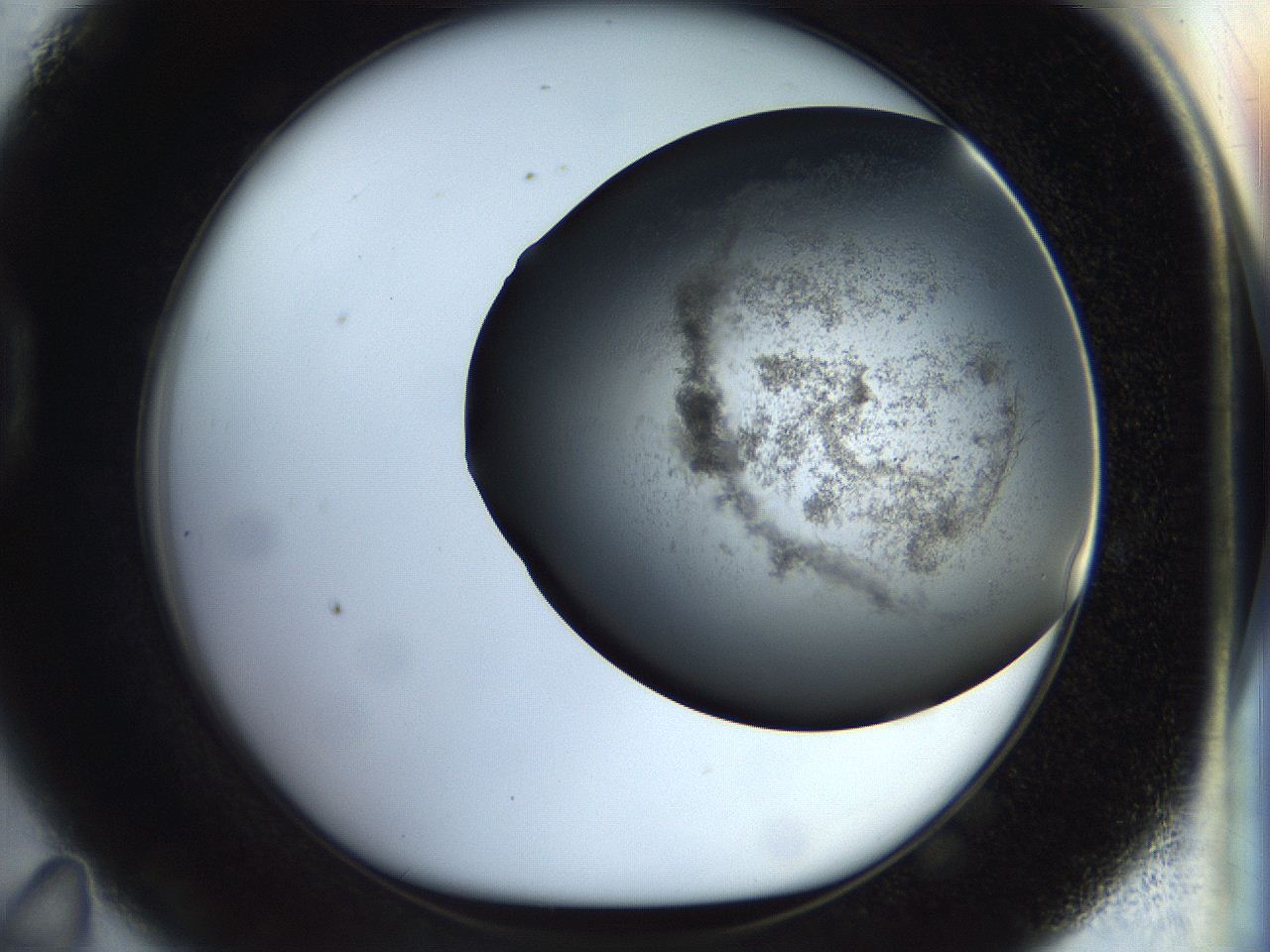 056m_D11_ImagerDefaults_3.jpg