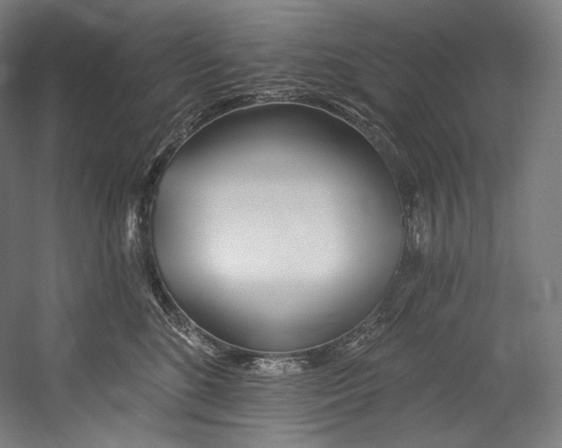 X0000055210520200508301325.png