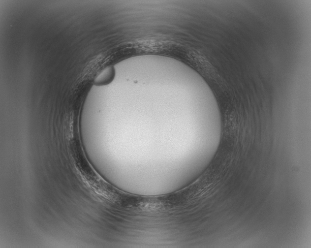 X0000055210694200508301322.png