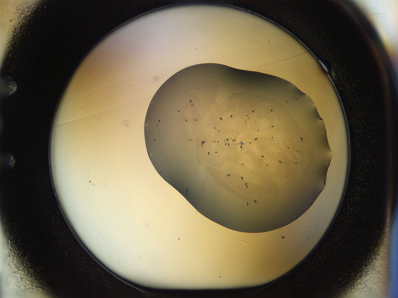 056m_E1_ImagerDefaults_6.jpg