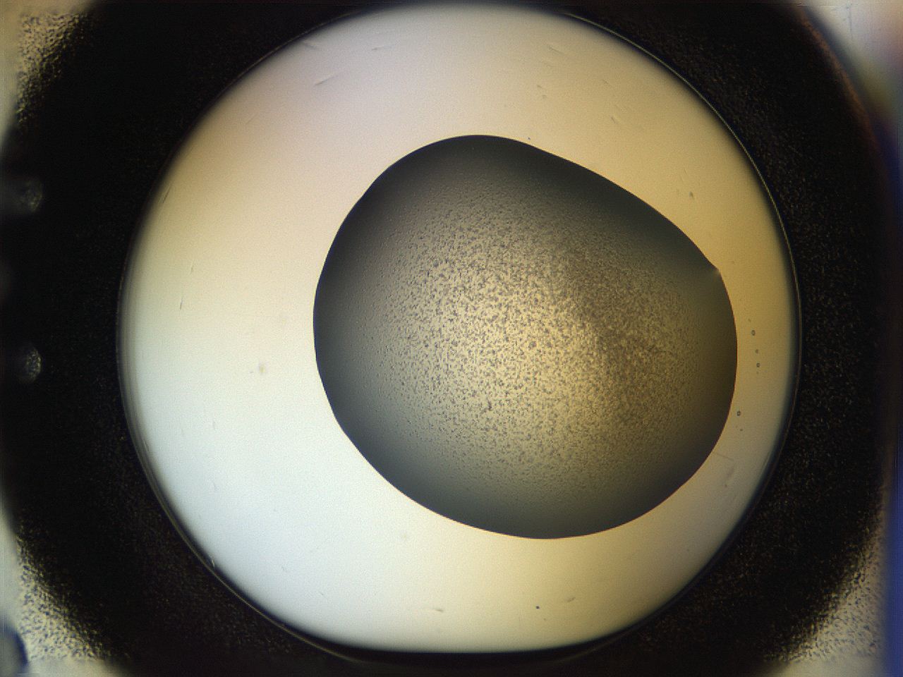 056m_E3_ImagerDefaults_2.jpg