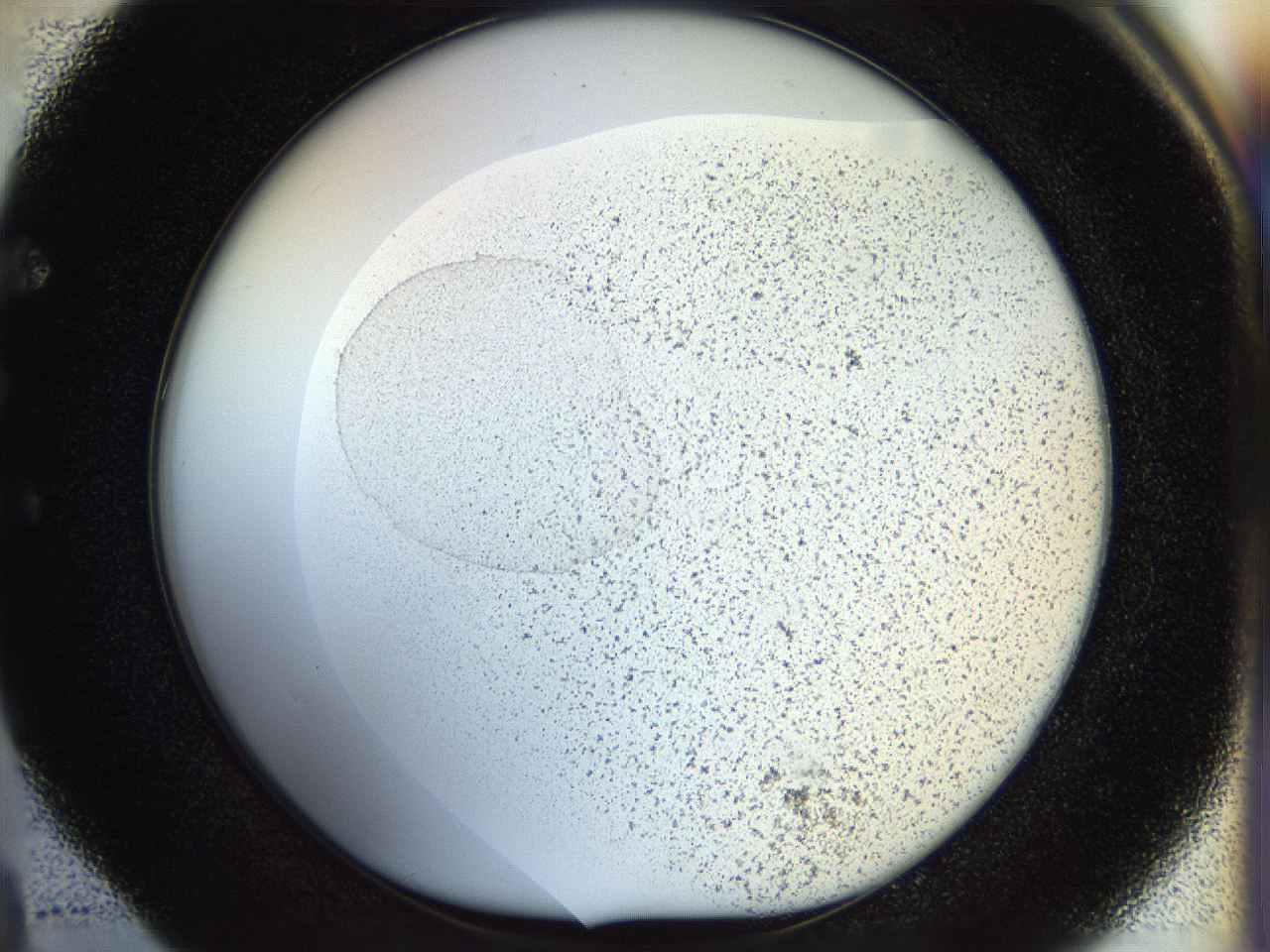 056m_E4_ImagerDefaults_3.jpg