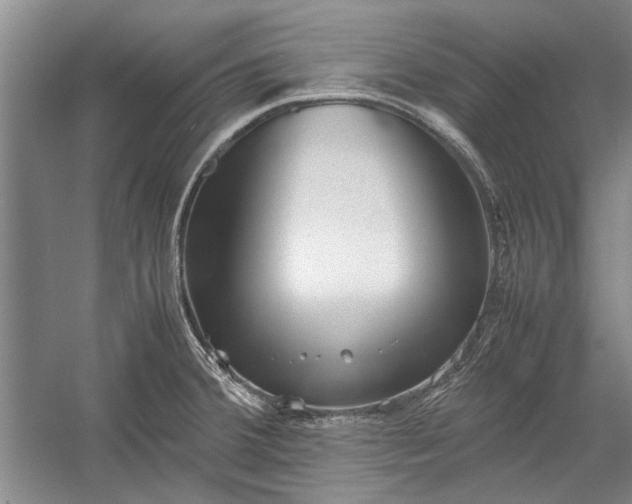X0000055061380200508161634.png