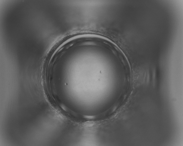 X0000052280054200507132039.png