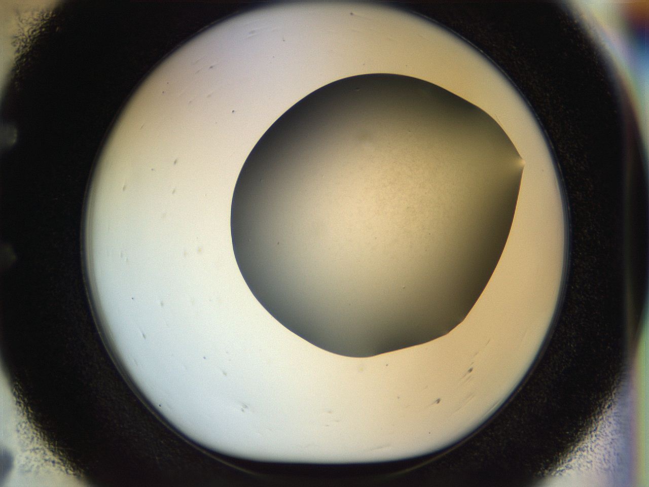 056m_E7_ImagerDefaults_0.jpg