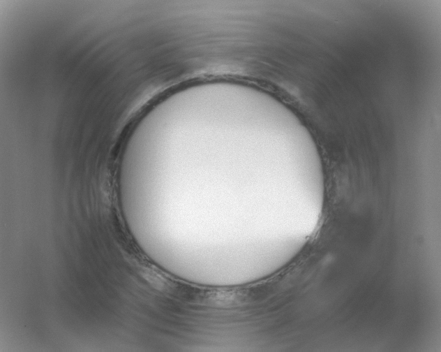 X0000054331266200508111909.png