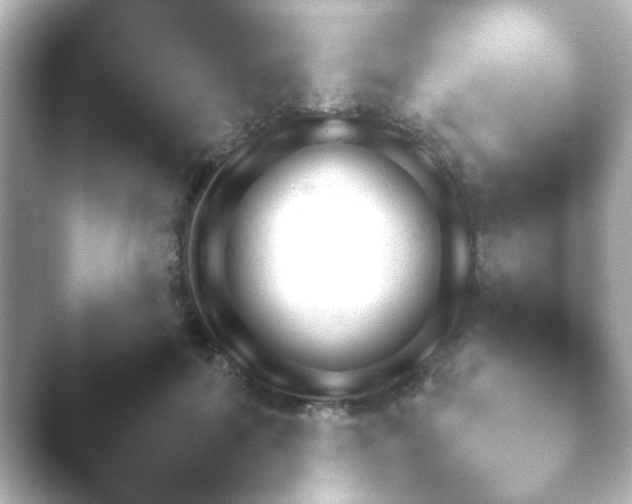 X0000046170602200502032042.png