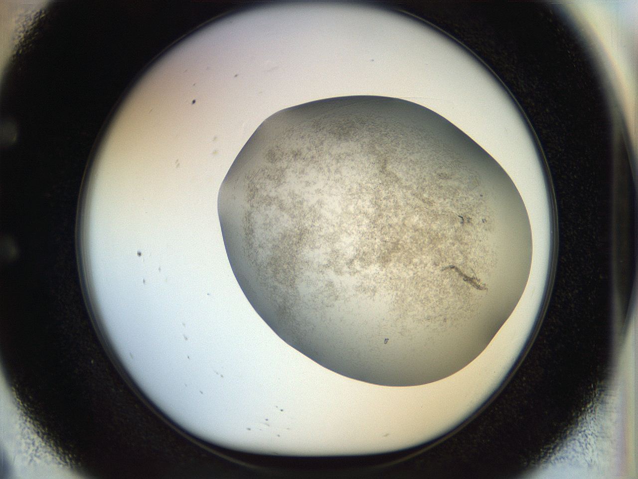 056m_E9_ImagerDefaults_3.jpg