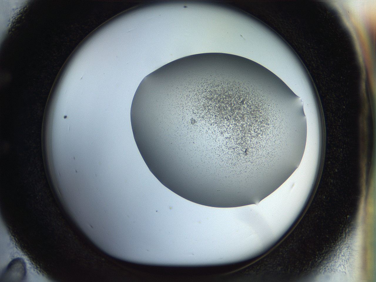 056m_E11_ImagerDefaults_3.jpg