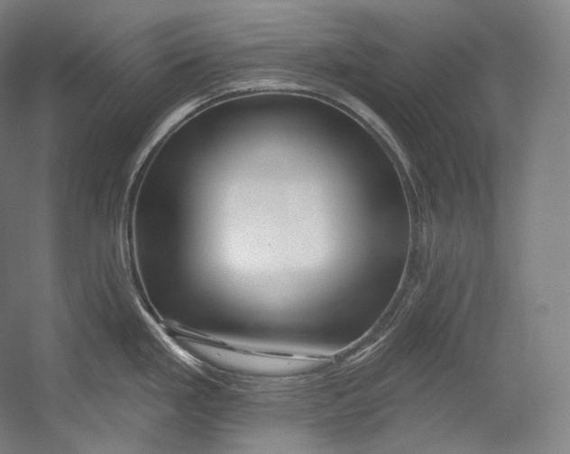 X0000055211293200508301312.png