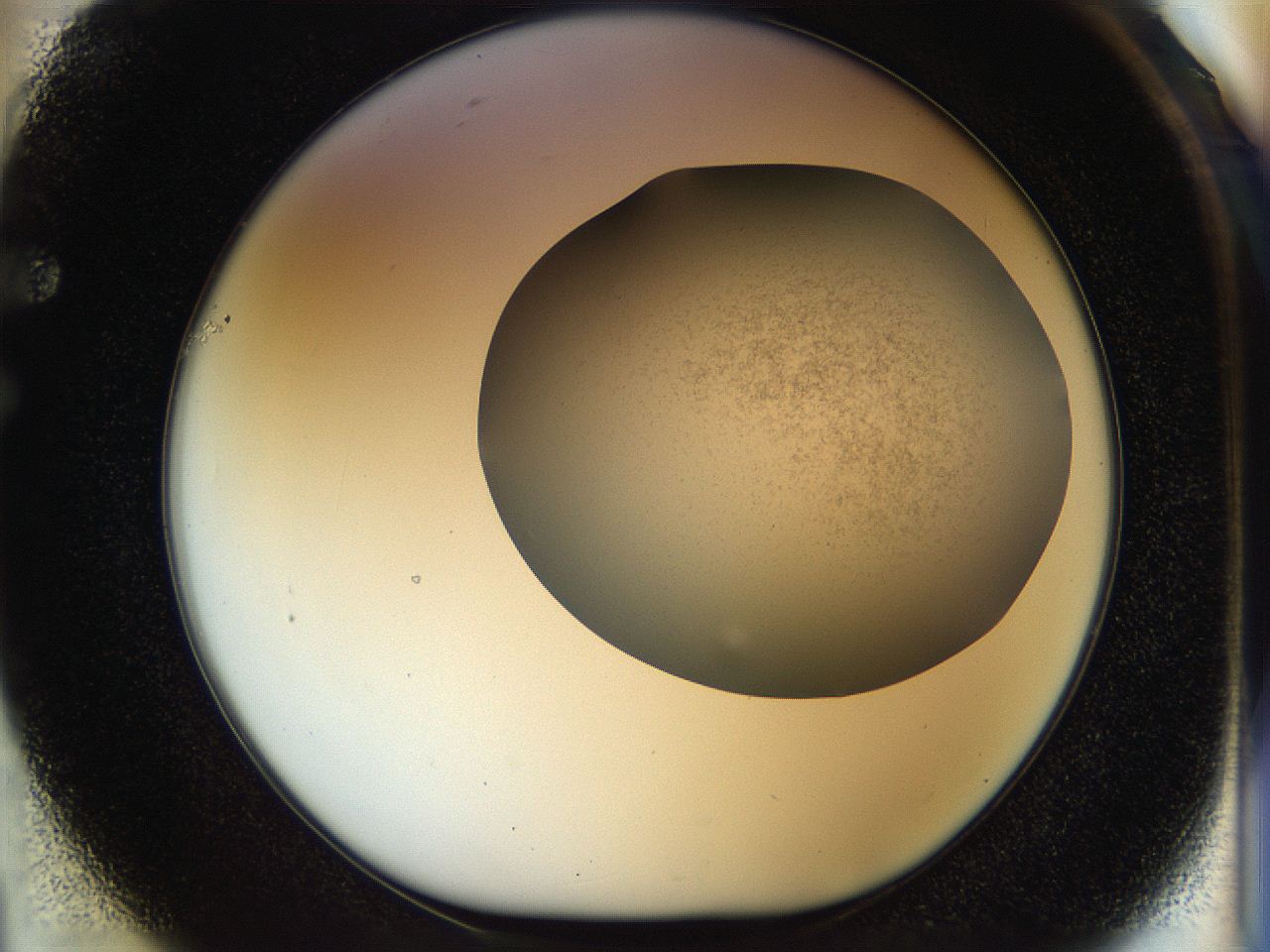 056m_F1_ImagerDefaults_2.jpg