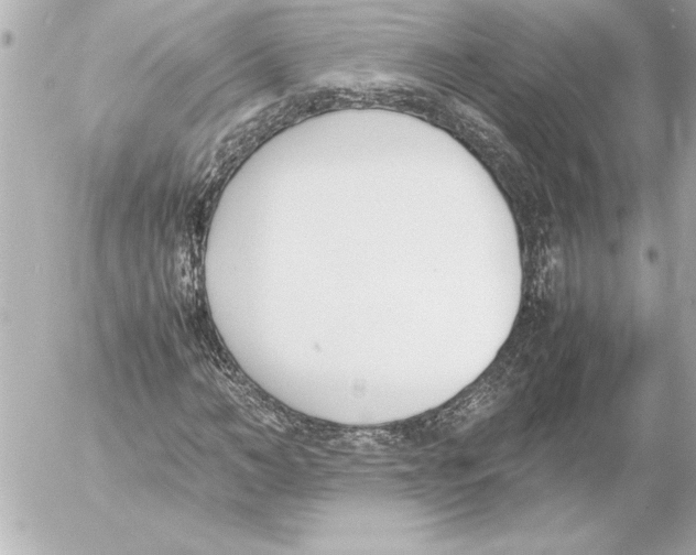 X0000054230966200508171506.png
