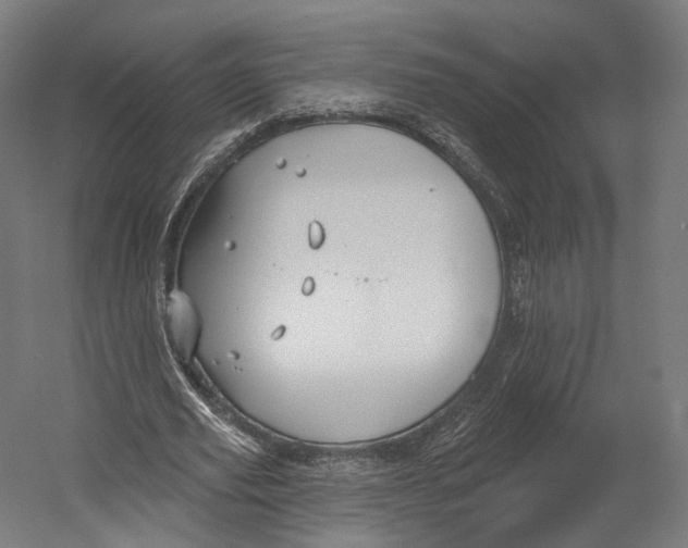 X0000055210629200508301322.png