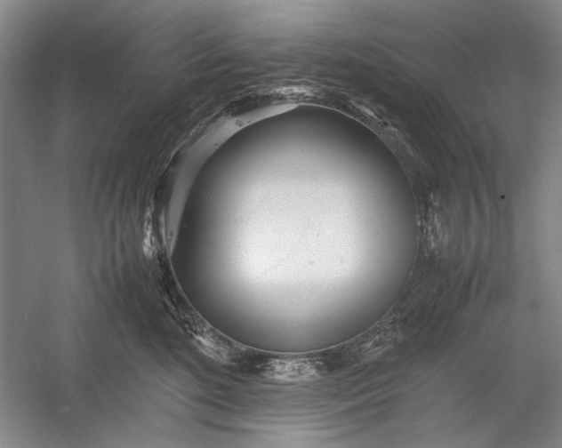 X0000055060520200508161649.png