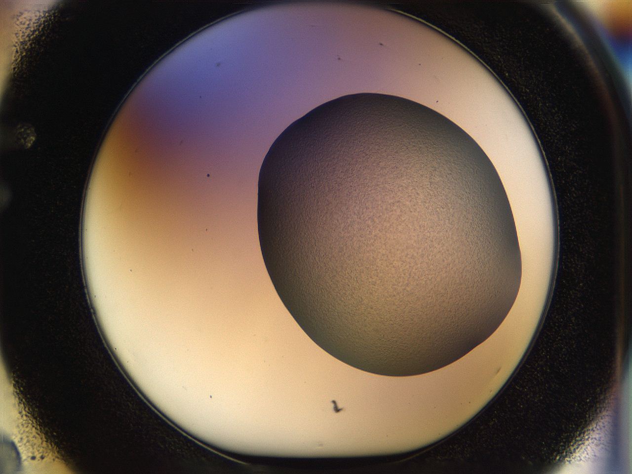 056m_F2_ImagerDefaults_2.jpg