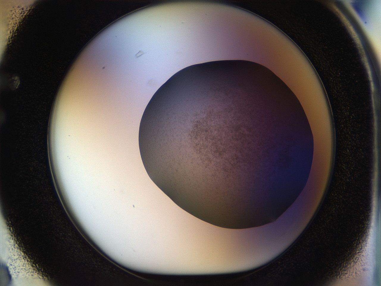 056m_F3_ImagerDefaults_3.jpg