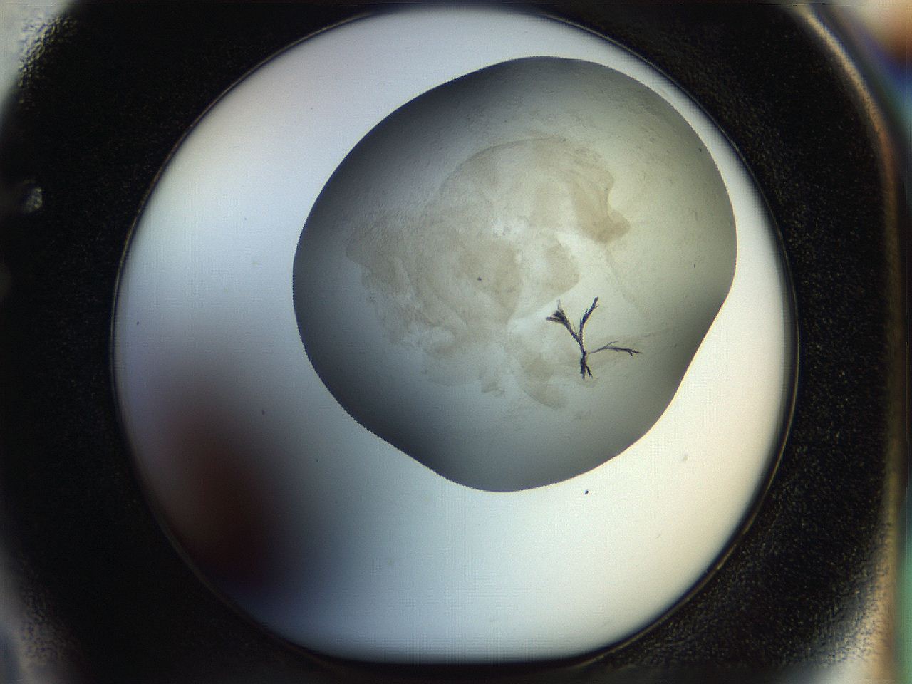 056m_F4_ImagerDefaults_6.jpg