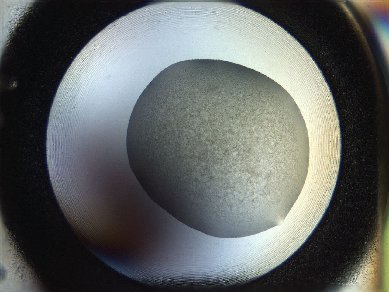 056m_F5_ImagerDefaults_2.jpg