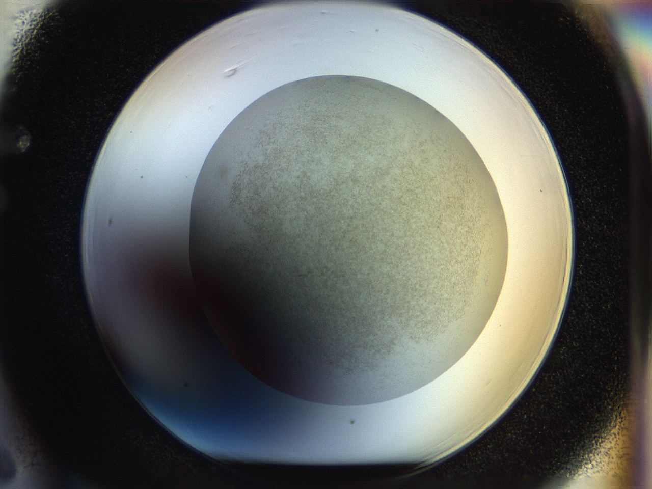 056m_F6_ImagerDefaults_2.jpg
