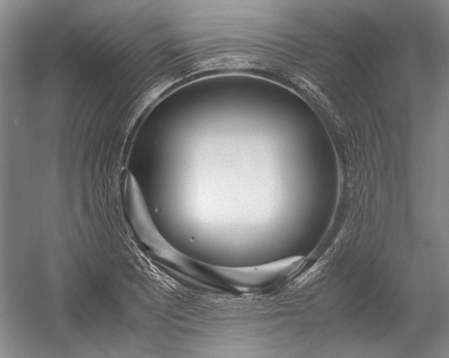 X0000055061081200508161639.png