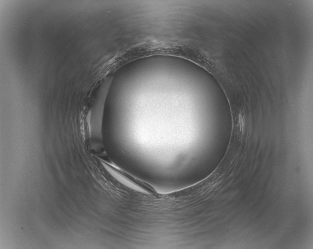 X0000055061348200508161635.png