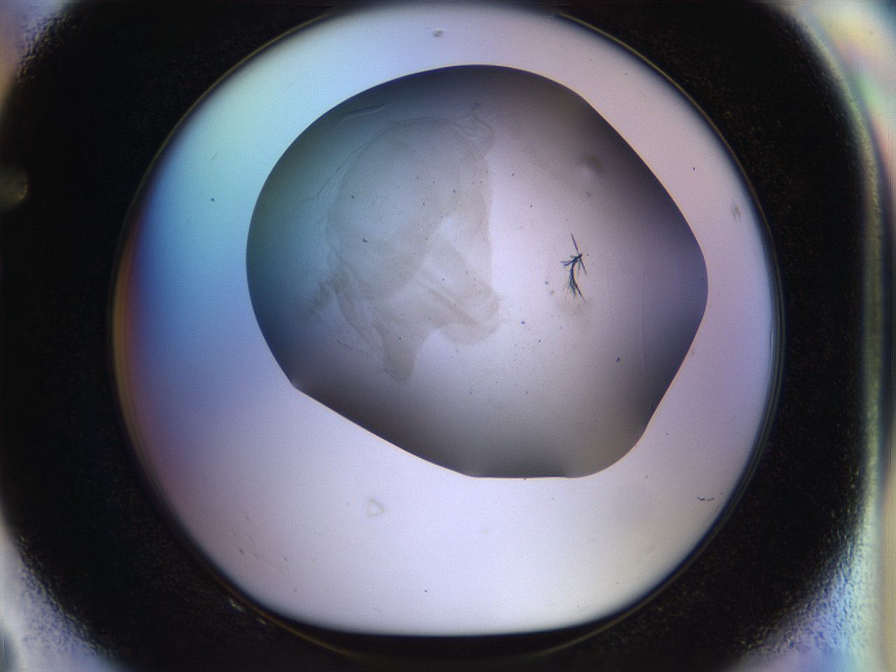 056m_F8_ImagerDefaults_6.jpg