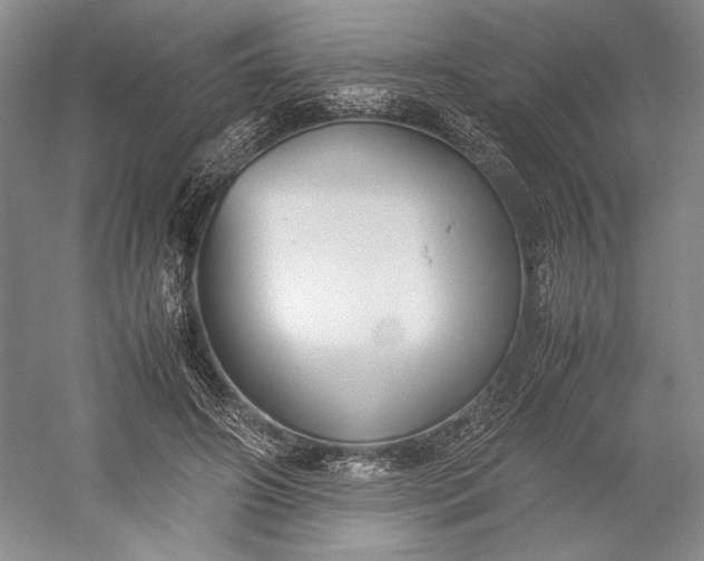 X0000055060498200508161649.png
