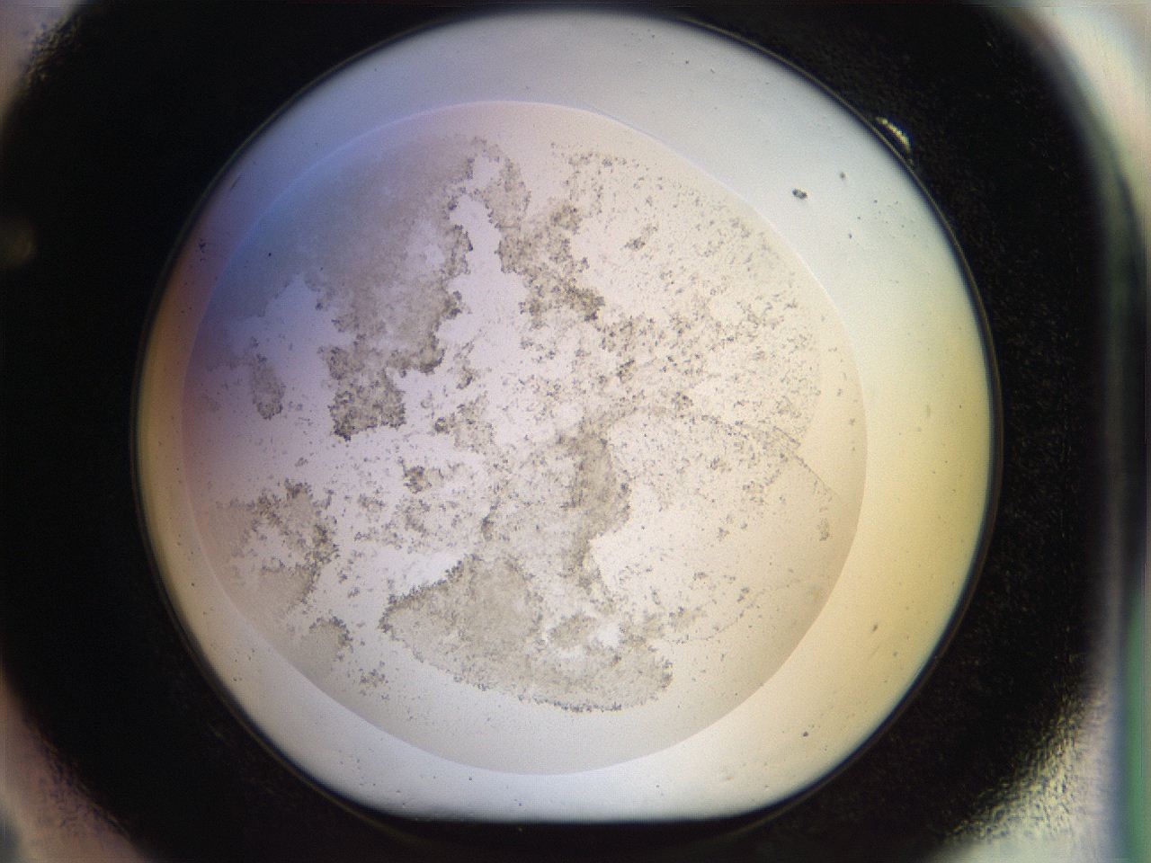 056m_F9_ImagerDefaults_3.jpg