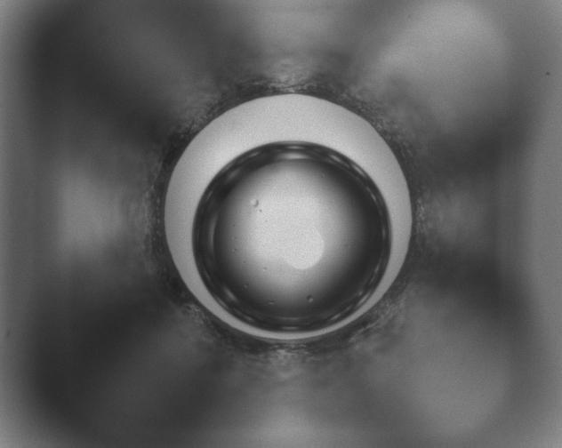 X0000044400412200412290436.png