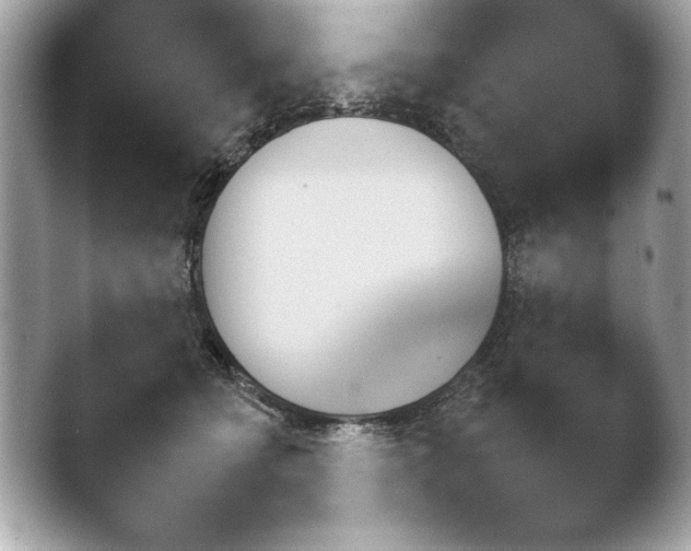 X0000043780558200412291328.png