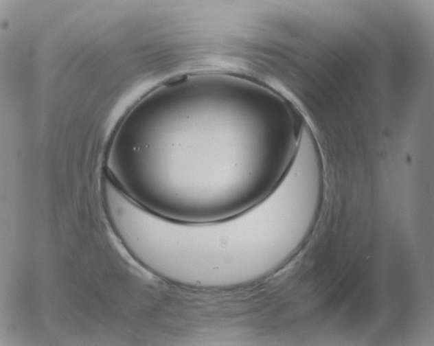 X0000054651477200508091629.png
