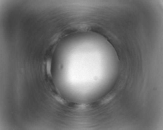 X0000054330432200508111924.png