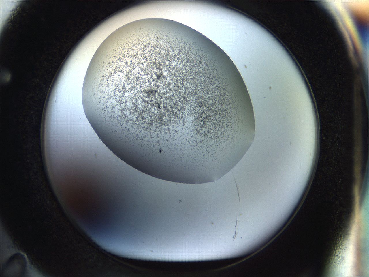 056m_F11_ImagerDefaults_3.jpg