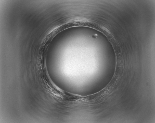 X0000055061112200508161638.png