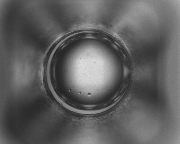 X0000045451227200502011648.png