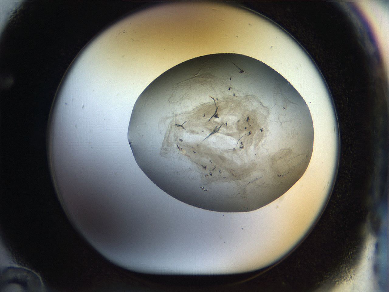 056m_F12_ImagerDefaults_6.jpg