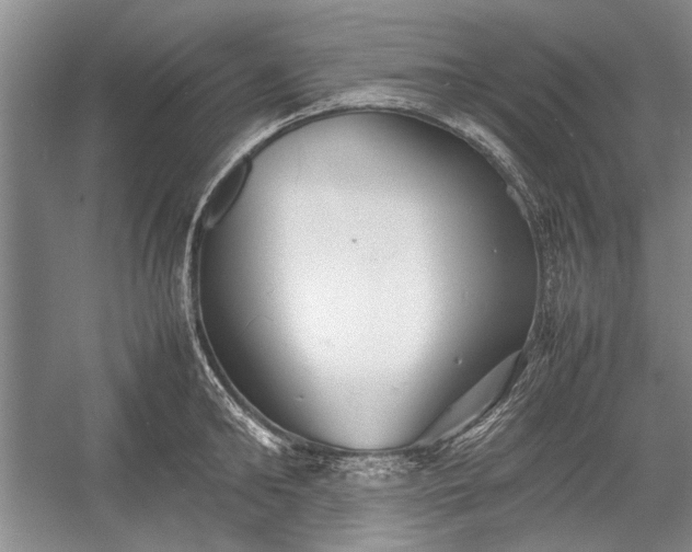X0000055060902200508161642.png